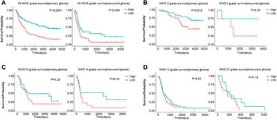 Pan-cancer integrated bioinformatics analysis reveals cuproptosis related gene FDX1 is a potential prognostic and immunotherapeutic biomarker for lower-grade gliomas